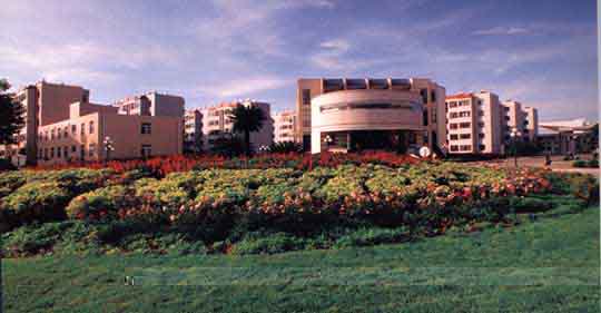 云南地域部门业绩